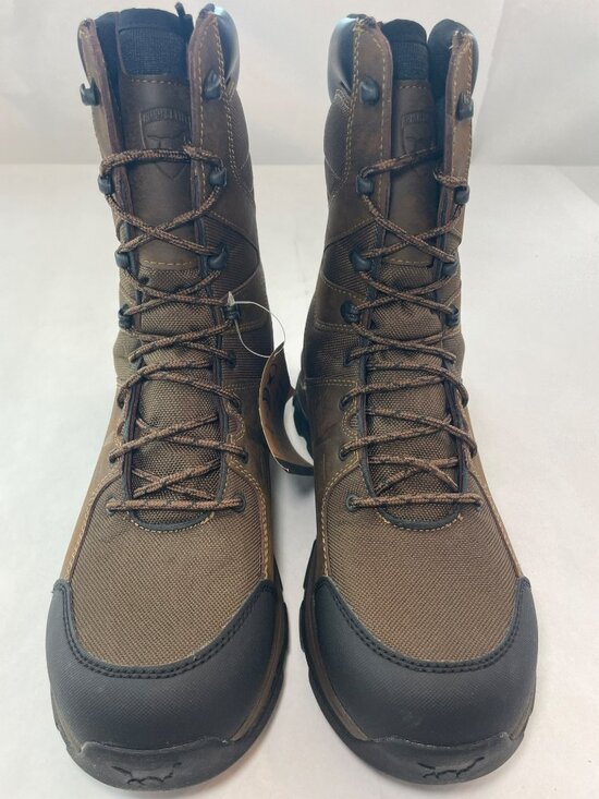 Irish Setter 10\